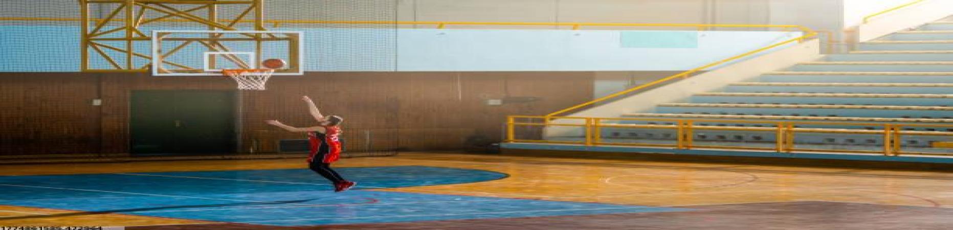 必一运动体育赛事数据可导出